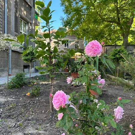 公寓 Markoni 1 布尔加斯